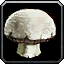 Skullcap