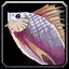 Brilliant Small Fish