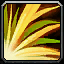 Sungrass